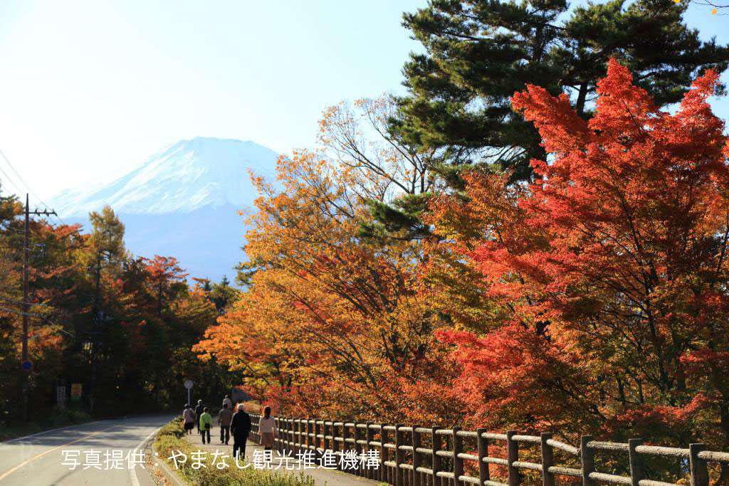 紅葉祭